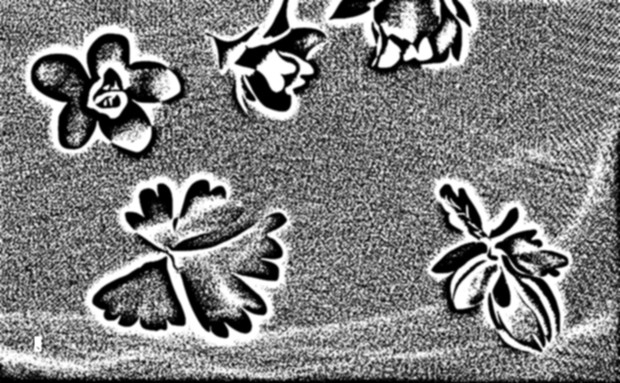 オダマキのある風景 01 Omusubi Hitotu さんのイラスト ニコニコ静画 イラスト