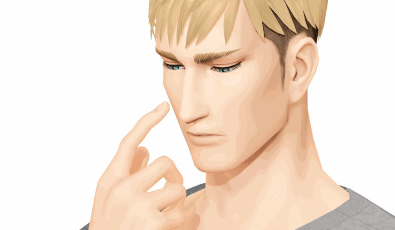 【進撃のMMD】このモーション+おまけ配布【配布終了しました】