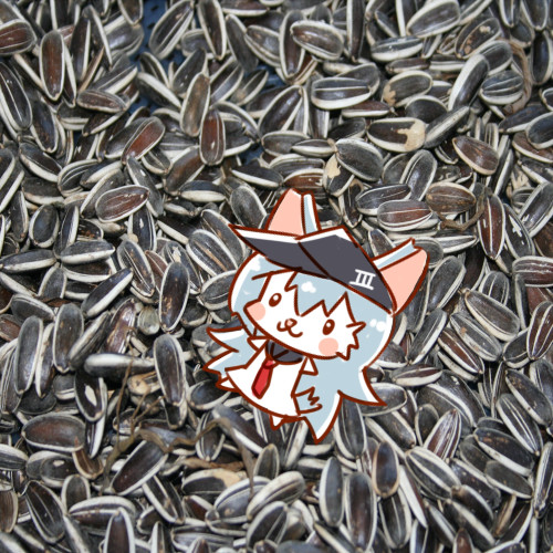 ひまわりの種事故 Aoinu さんのイラスト ニコニコ静画 イラスト