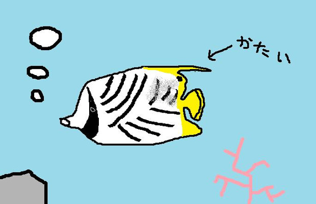 トゲチョウチョウウオ サリエルの寵愛者 さんのイラスト ニコニコ静画 イラスト