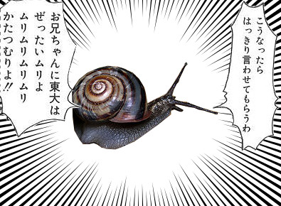 かたつムリムリムリ Sanuki Nico さんのイラスト ニコニコ静画 イラスト