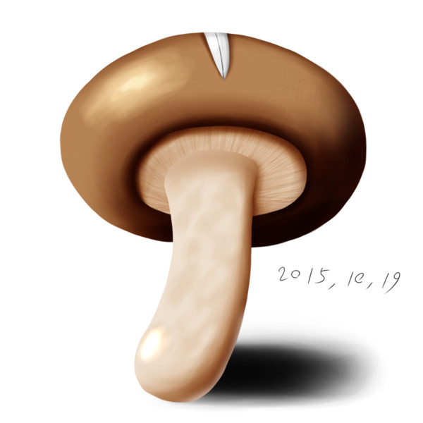 しいたけ ぺんぎん さんのイラスト ニコニコ静画 イラスト