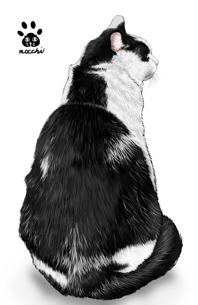 しろくろ猫の背中 もっち さんのイラスト ニコニコ静画 イラスト