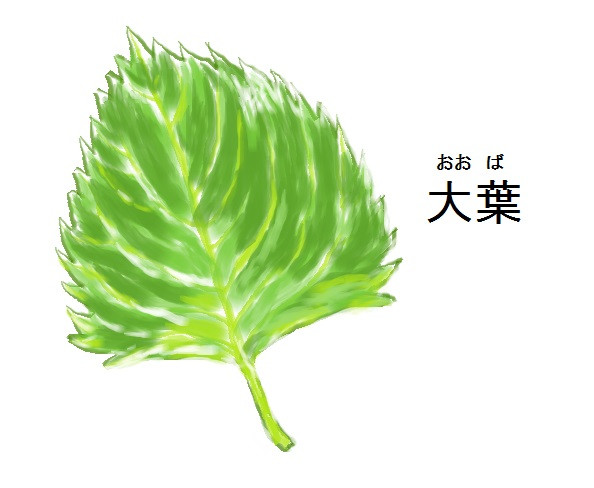 どくけし草（そう）