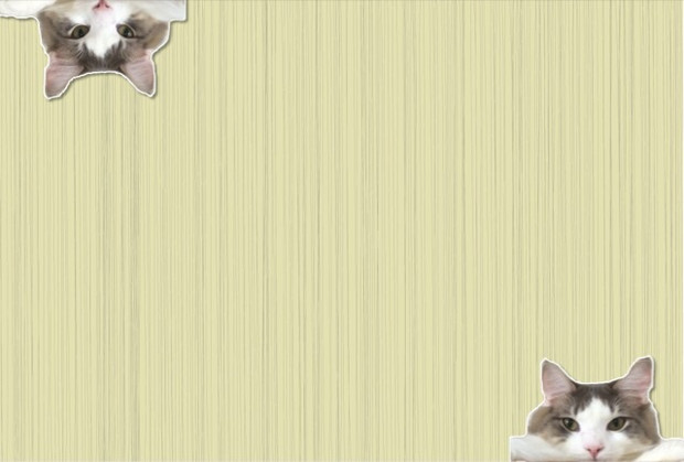もふもふ背景素材 もふねこ さんのイラスト ニコニコ静画 イラスト
