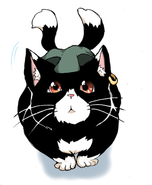 上目遣いな橙ちゃん / ぴろぴろ さんのイラスト - ニコニコ静画 (イラスト)