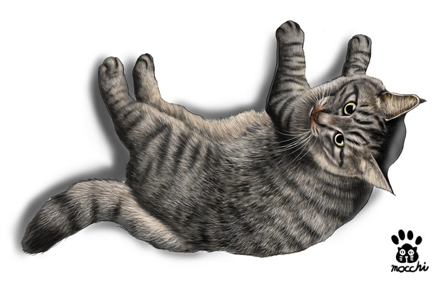 きじとらねこ２ もっち さんのイラスト ニコニコ静画 イラスト