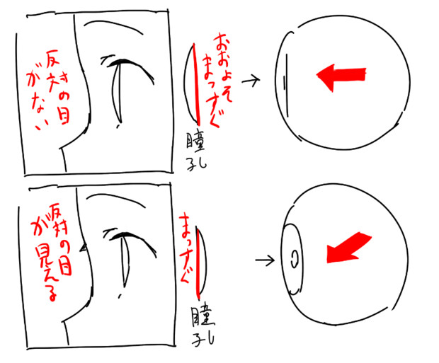 横顔の細かい立体感