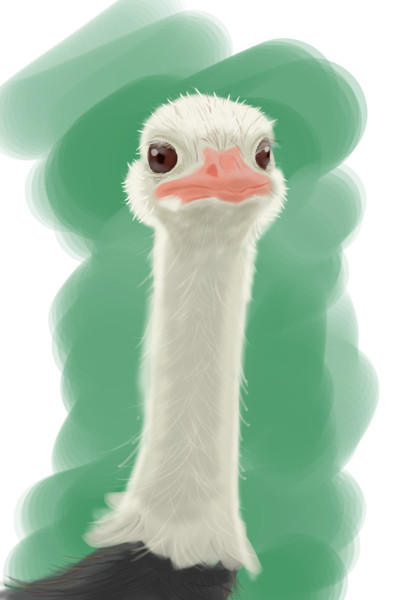 ダチョウさん 矢口知 さんのイラスト ニコニコ静画 イラスト
