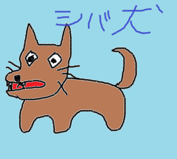 柴犬