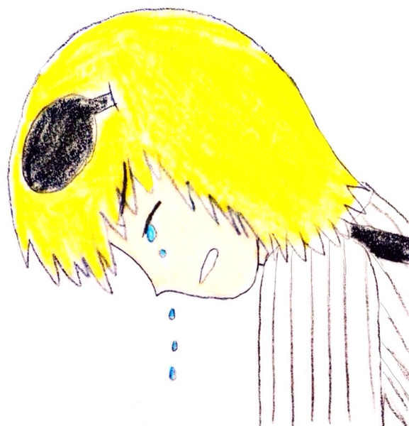 泣きっ面イングズ Dolphin Venus さんのイラスト ニコニコ静画 イラスト