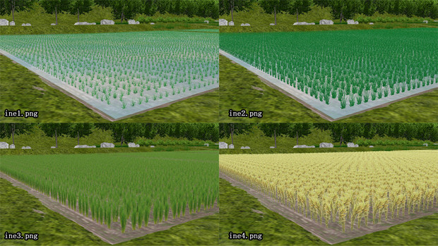 田畑のある山間の稲テクスチャ追加