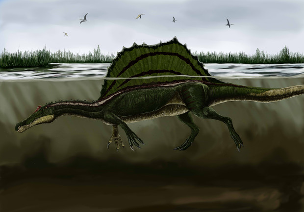 Spinosaurus 沼の漁竜