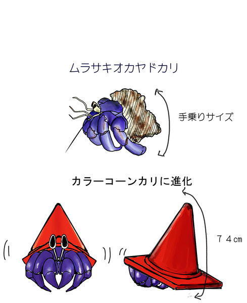 ムラサキオカヤドカリ サバ缶フィレ鮪 さんのイラスト ニコニコ静画 イラスト