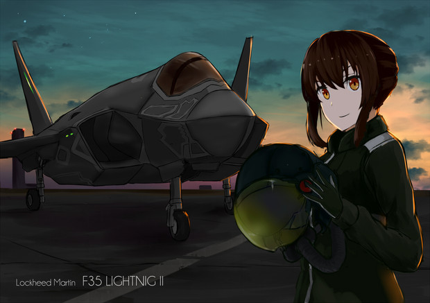 F 35 Lightning サーもん さんのイラスト ニコニコ静画 イラスト