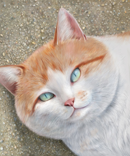 顔の大きい茶トラ猫 黒猫 さんのイラスト ニコニコ静画 イラスト