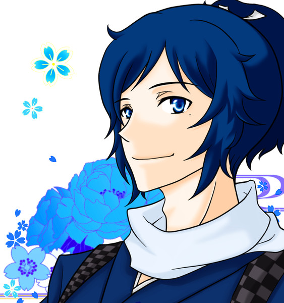 刀剣乱舞 Nicosub静画