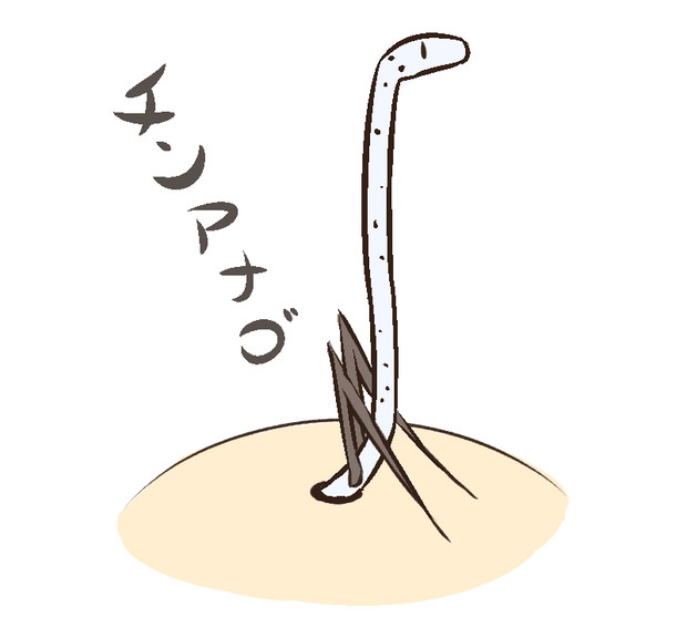 チンアナゴ てーんの人 木屑 さんのイラスト ニコニコ静画 イラスト