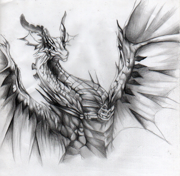 Shadowverse 光輝ドラゴン 模写 バジル さんのイラスト ニコニコ静画 イラスト