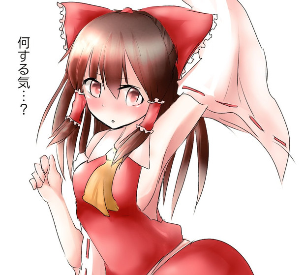 腋巫女 霊夢 崩壊 さんのイラスト ニコニコ静画 イラスト