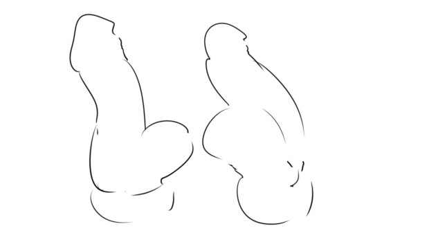 ひたすらお互いにぶつかりあうちんちんアニメーション カルティナ さんのイラスト ニコニコ静画 イラスト