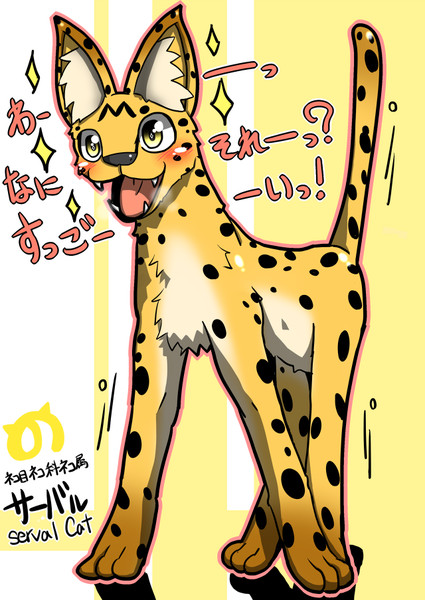 すっごーい！！