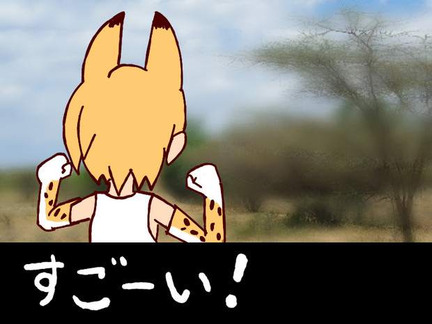 もの たわけ