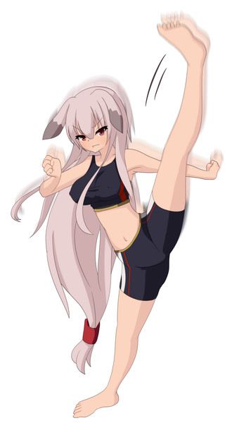 ハイキックルルナ ボコ太 さんのイラスト ニコニコ静画 イラスト