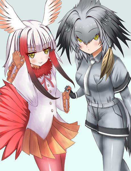 ハシビロコウさんとトキさん ろきた さんのイラスト ニコニコ静画 イラスト