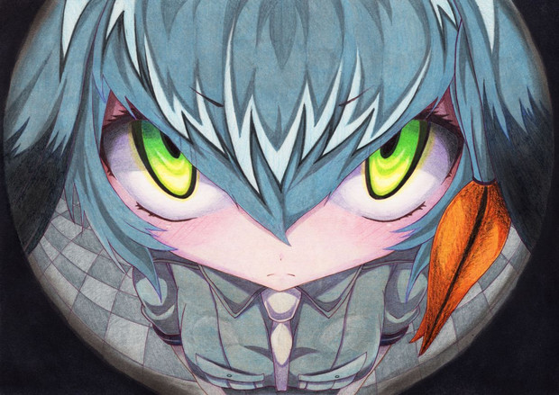 年の最高 魚眼レンズ イラスト イラスト素材から探す Davidurra