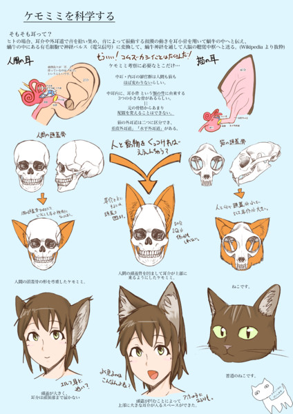 ケモミミを科学する おっつー さんのイラスト ニコニコ静画 イラスト