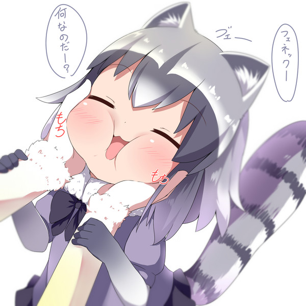アライグマ けものフレンズ ニコニコ静画 イラスト