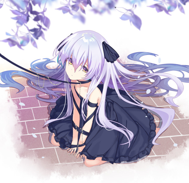 ペット にょらるとぽそふ さんのイラスト ニコニコ静画 イラスト