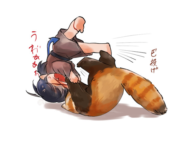 ぬえ対レッサーパンダその後 ちゃまるく さんのイラスト ニコニコ静画 イラスト