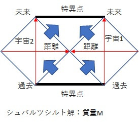 ロードポーネグリフ１：シュバルツシルト解