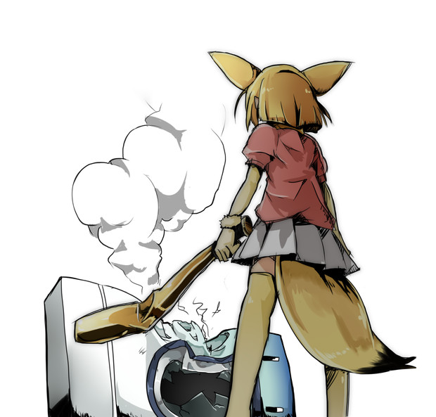 洗濯機を壊すフェネック サイハテ さんのイラスト ニコニコ静画 イラスト
