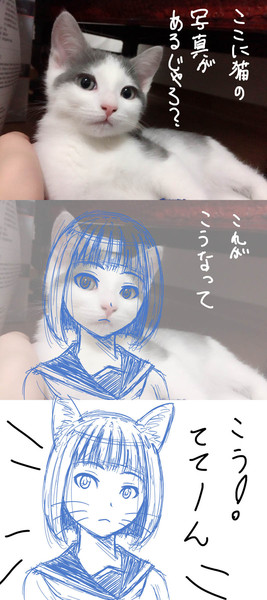 猫から学ぶ顔のバランス 銘酒濁酒 さんのイラスト ニコニコ静画 イラスト