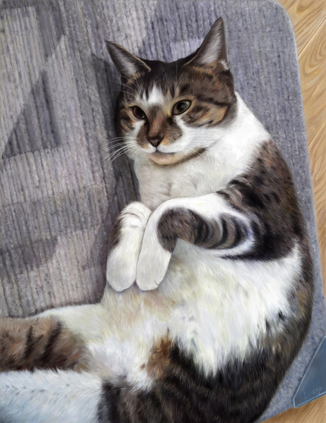 うちの猫 みゅうみゅう 黒猫 さんのイラスト ニコニコ静画 イラスト