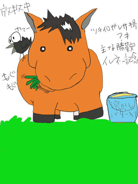 ツチイロガレザキ号