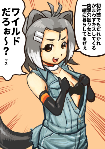 ワイルドになったアメリカビーバーちゃん Inuken さんのイラスト ニコニコ静画 イラスト