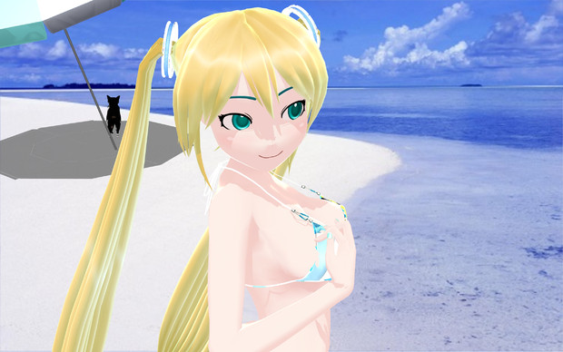 夏の浜辺、と猫