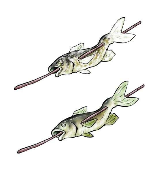 焼き魚 二ノ瀬泰徳 さんのイラスト ニコニコ静画 イラスト