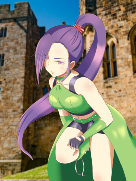 ドラクエ11 マルティナ ニコ生 近衛兵 さんのイラスト ニコニコ静画 イラスト