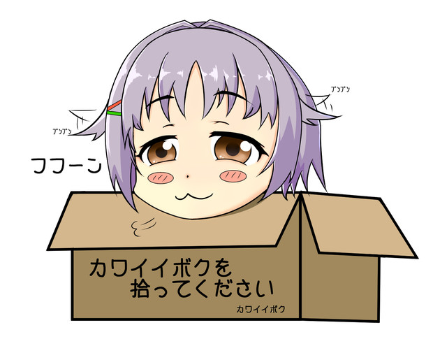 カワイイボク拾ってください