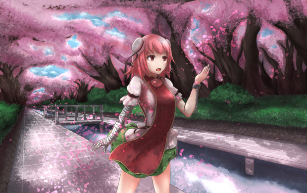 桜の訪れ