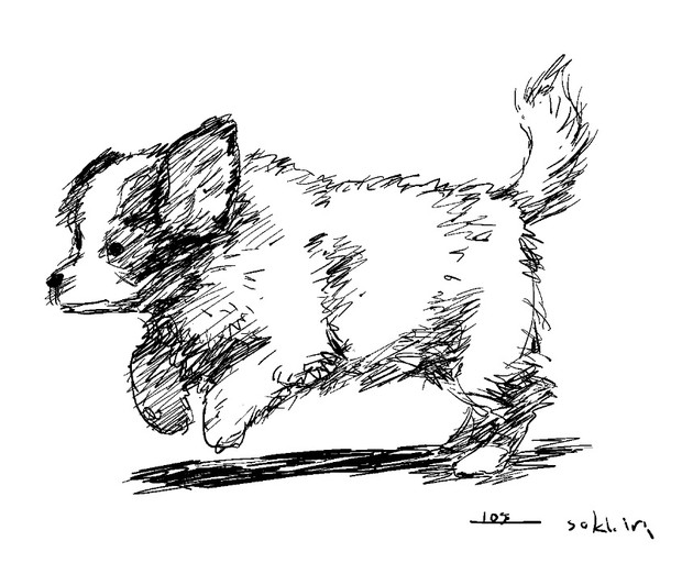 １０分で描いた犬 模写です Sukkiri さんのイラスト ニコニコ静画 イラスト