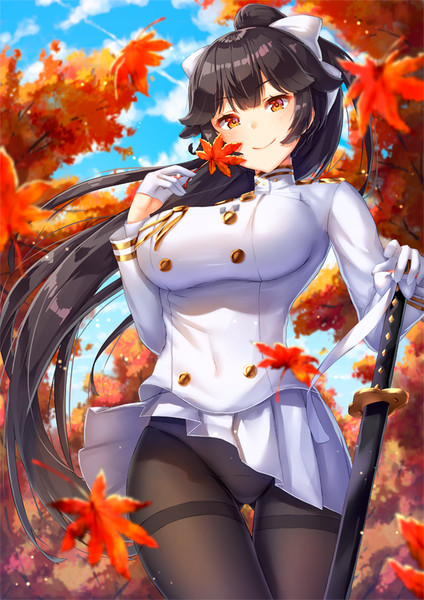 高雄 アズールレーン とは タカオとは 単語記事 ニコニコ大百科
