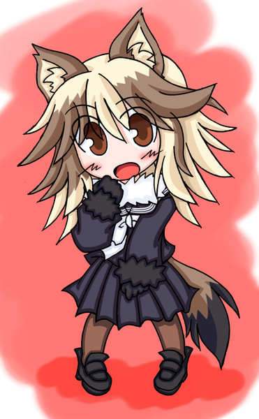 舞台版タヌキ