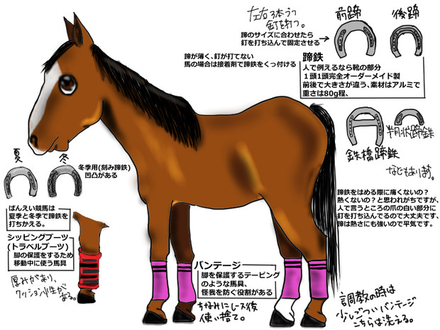 競馬の馬具(脚編)