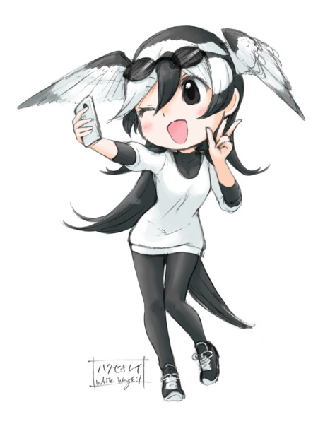 ハクセキレイ ラフ 須田 さんのイラスト ニコニコ静画 イラスト